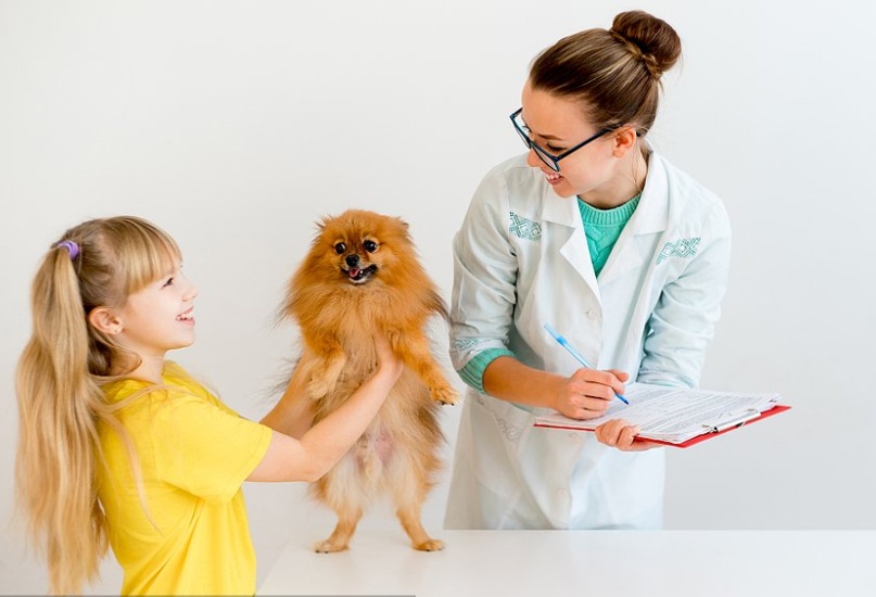 狗狗常见的皮肤病有哪一些,狗狗常见的6种皮肤病