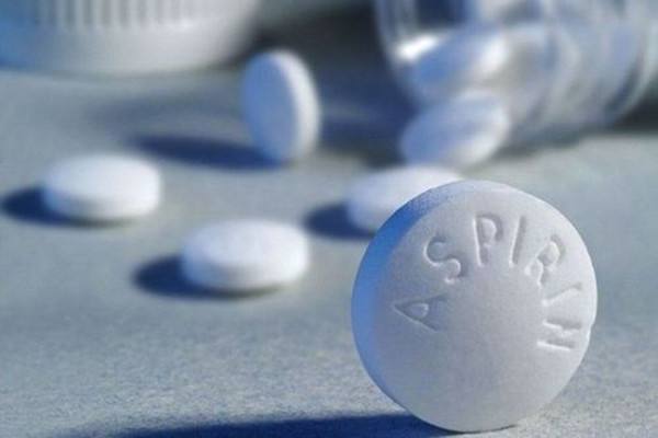 富贵竹怎么养才不黄叶能更旺盛,富贵竹怎么养才能更旺盛小技巧