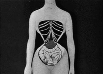 网红爆款束腹带,网红推荐的产后收腹带