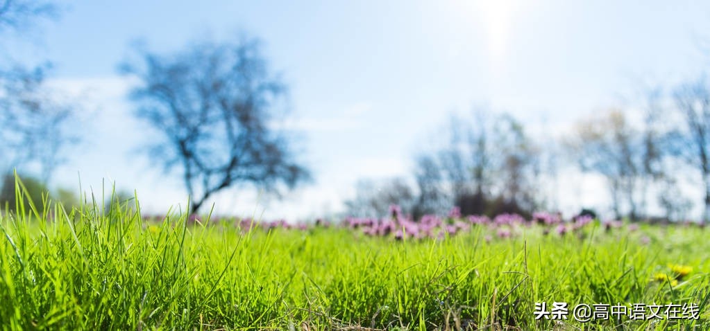 高考语文古代诗歌鉴赏常考,高中鉴赏古代诗歌表达技巧总结