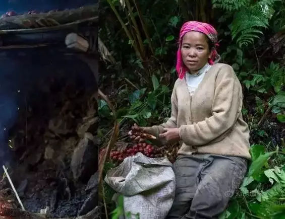 建国初期的400多个民族名称,建国初期全国有多少个民族