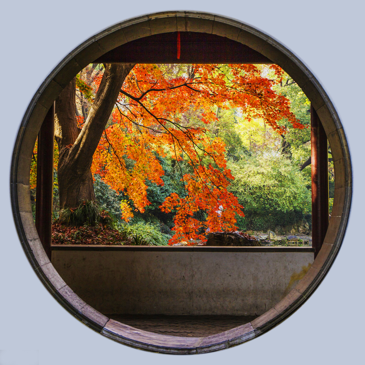 这个秋季你挖到了金人吗?