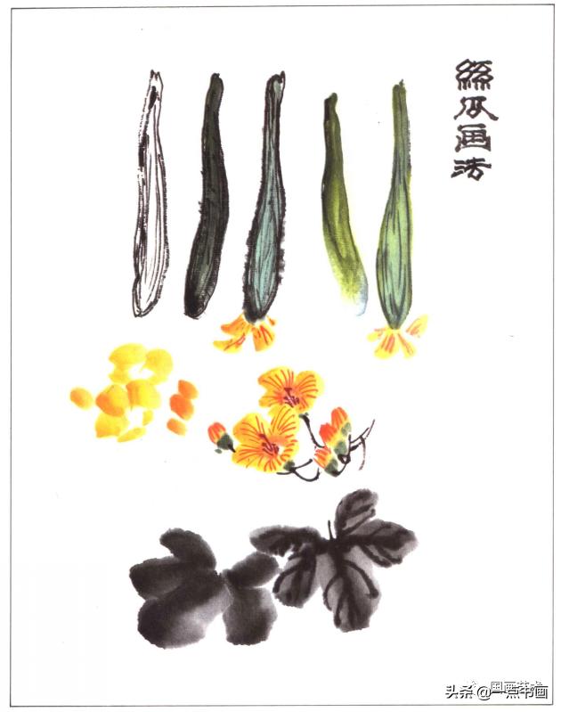 写意蔬果用铅笔怎么画,写意蔬果掌握教学重点的方法