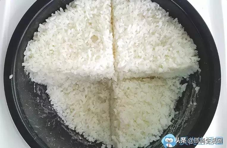 做饭的秘密,电饭煲的秘密小妙招