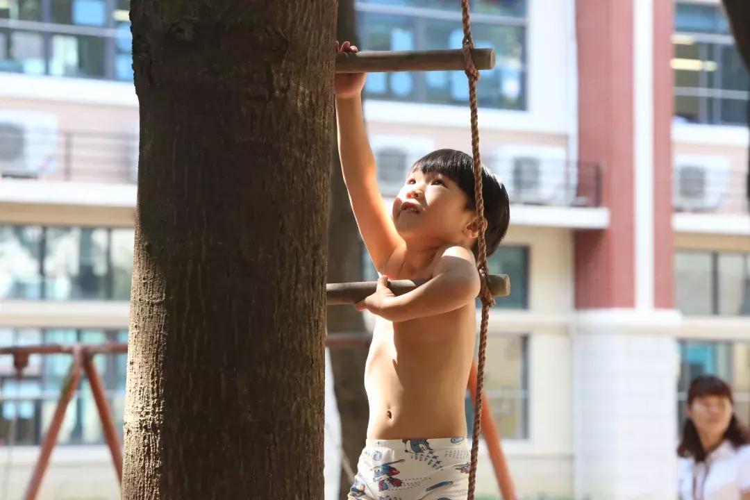 博实乐碧桂园国际学校学费多少,咸宁博实乐碧桂园国际学校怎么样