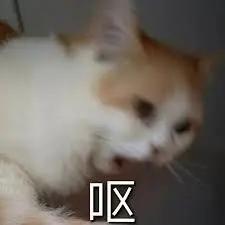 矫情的电影,好看又弱智的电影