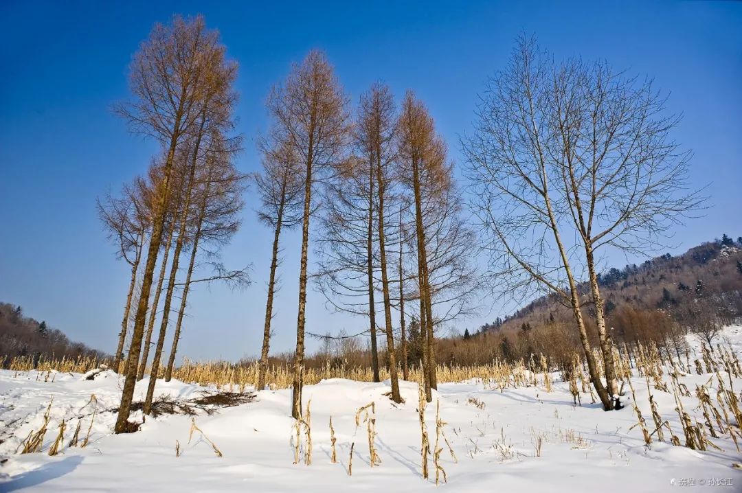 国内这7个绝美雪景地,看到第一个我就想去了!
