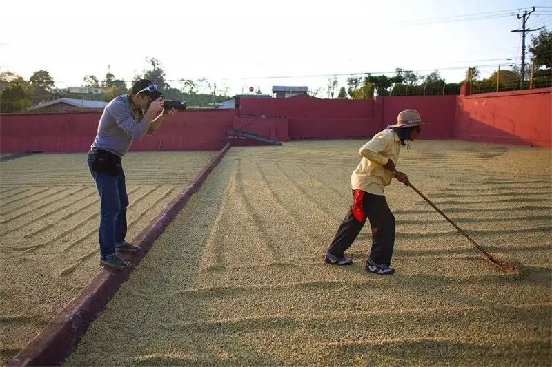 “土气”的休闲农业,正成为高端品牌争抢的“联姻”对象