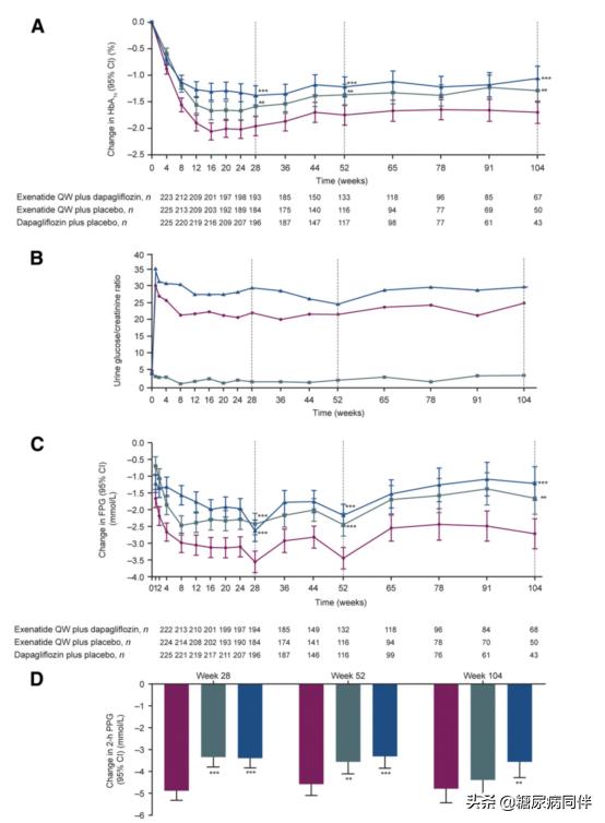 糖尿病人服用二甲双胍应注意什么,糖尿病人服用二甲双胍伤胃怎么办