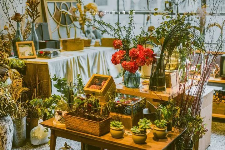 隐藏在广州的宝藏打卡地,广州小众户外