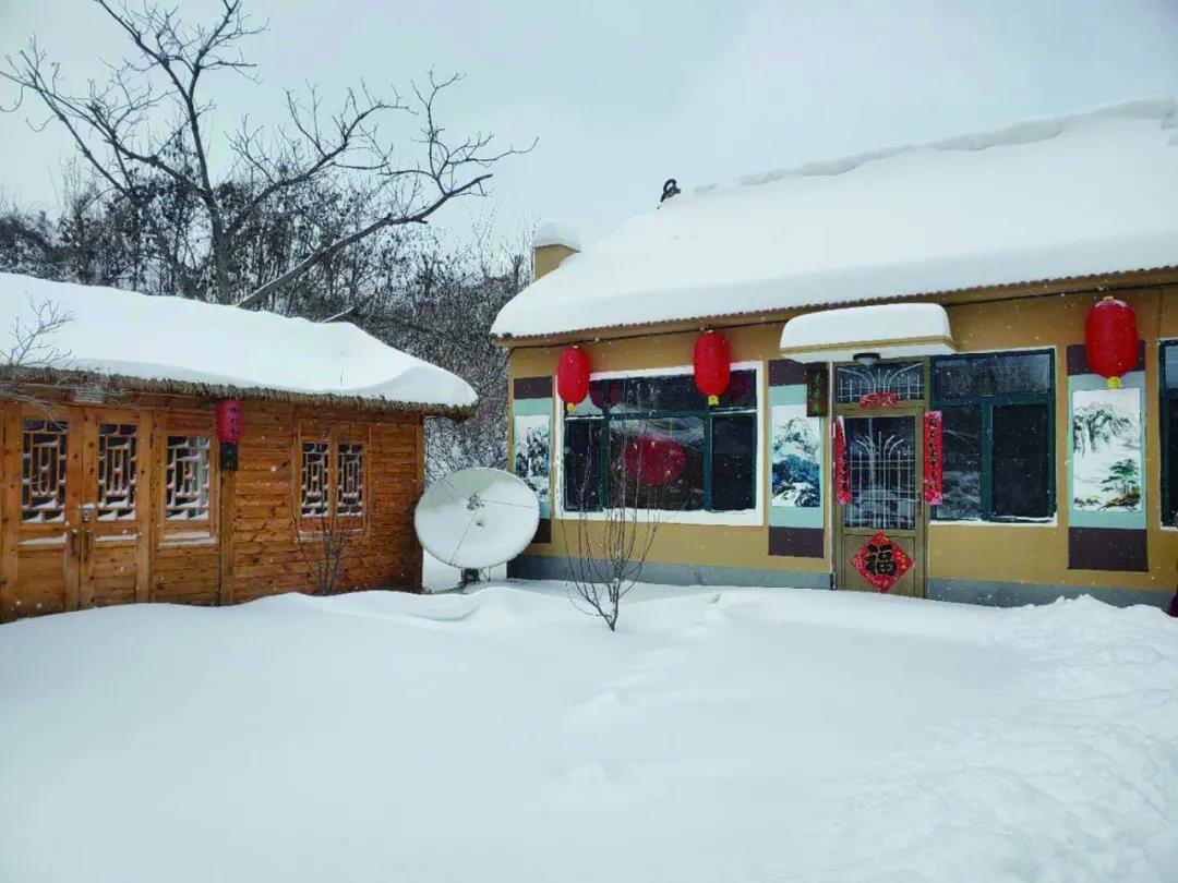 沈阳市新闻12月5日,沈阳新闻15日微博