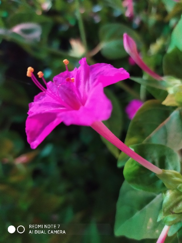 风起云涌的谐音,踏青的谐音