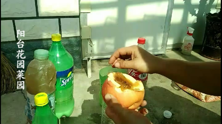 养花多长时间浇一次营养液,养花便宜又好养