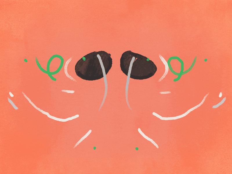 初级经典瑜伽教程呼吸放松控制法,怎样快速让自己放松下来