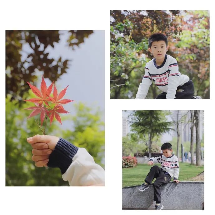 这一次，我被kol种草了