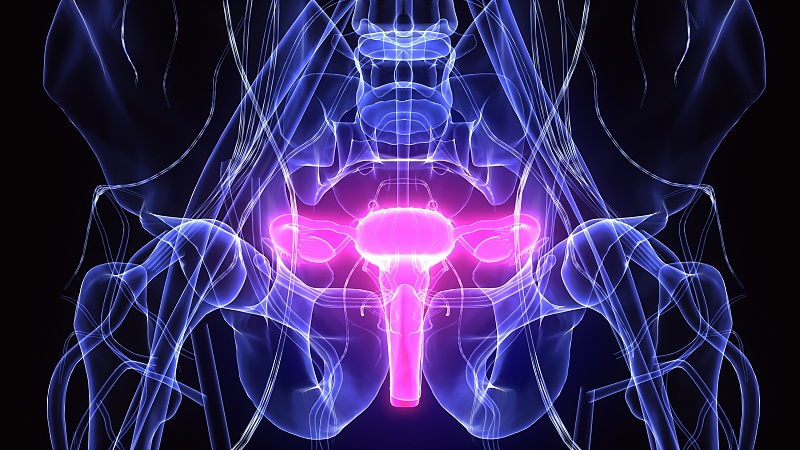 女性下部发臭有异味怎么办,女性底下有异味怎么回事