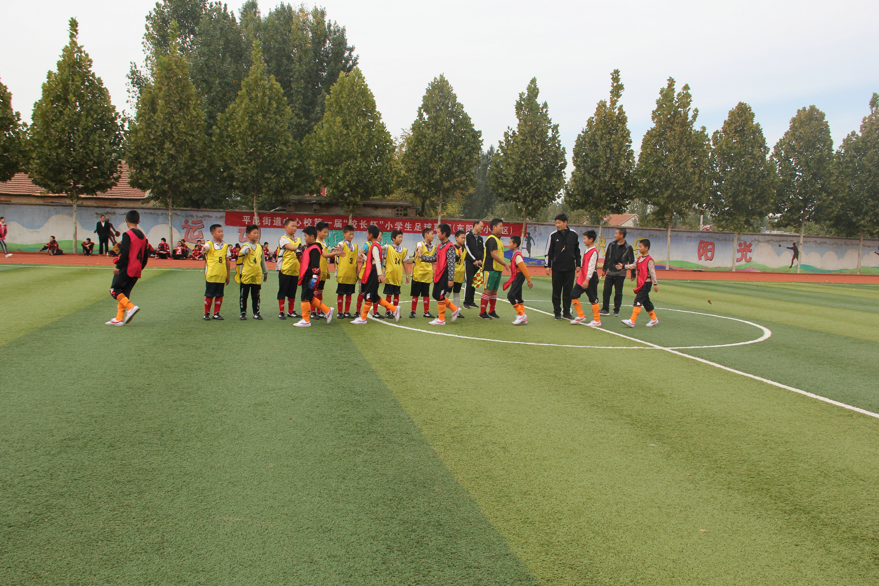 驰骋绿茵场足球争霸,驰骋绿茵场少年梦飞扬