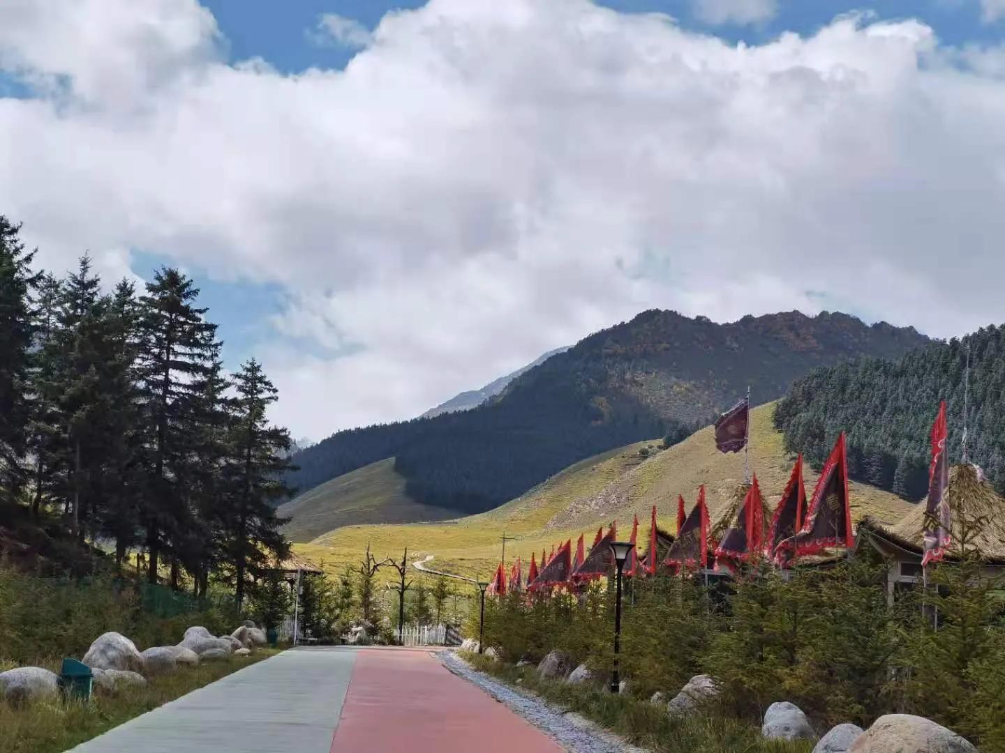 孟军创作的原声,孟军诗歌完整版