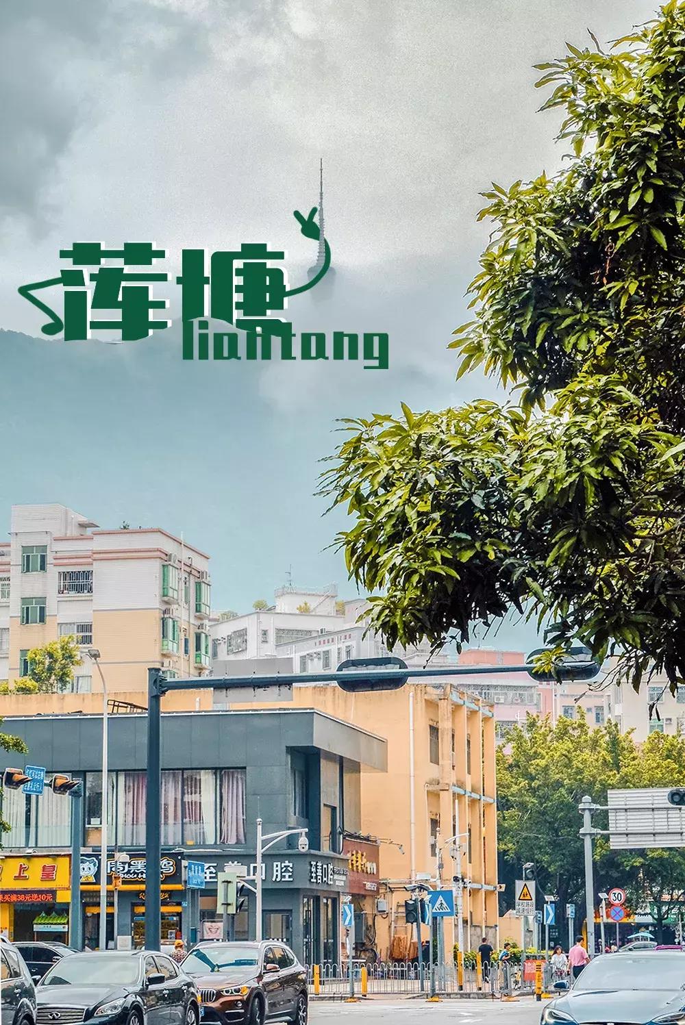 隐藏在梧桐山里的世外桃源,深山独门独户世外桃源