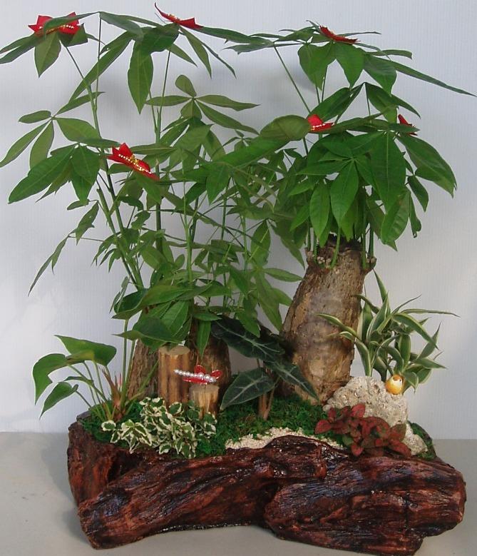 发财树长得慢怎样施肥,发财树叶片旺盛怎么打理