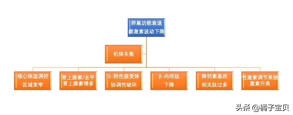我看女性绝经期健康——潮热
