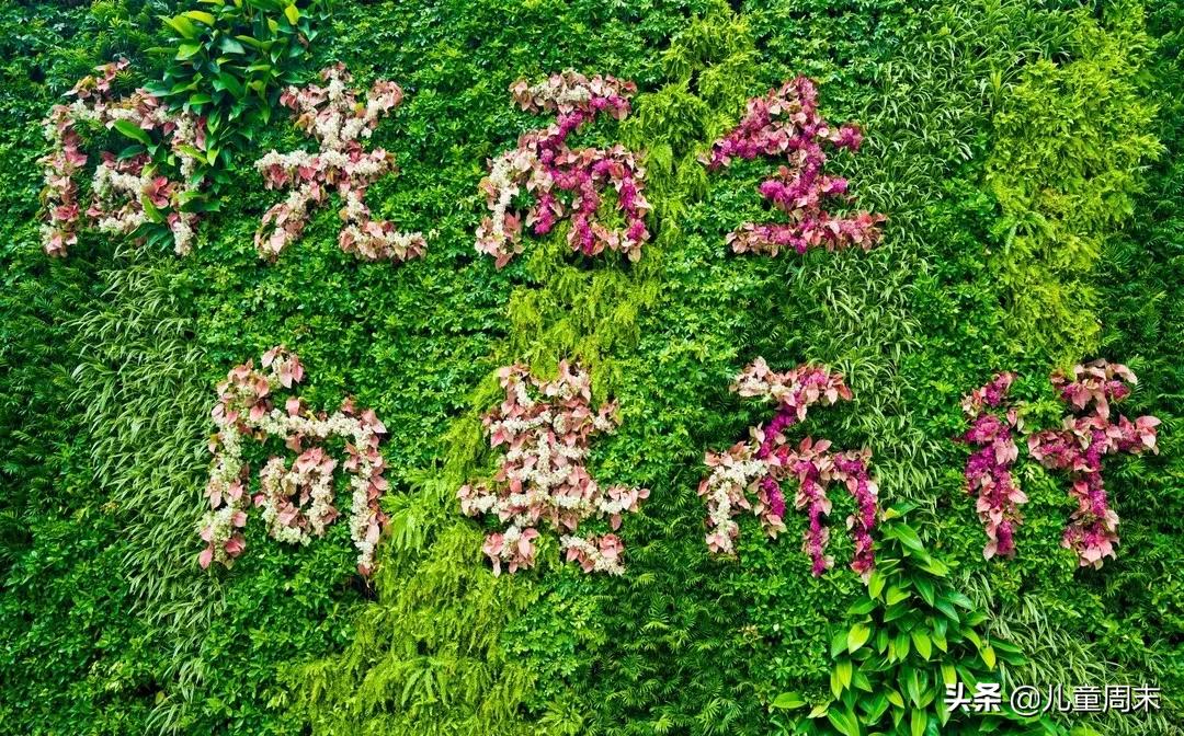 深圳龙华这所“未来学校”,是每个孩子都向往去读的学校