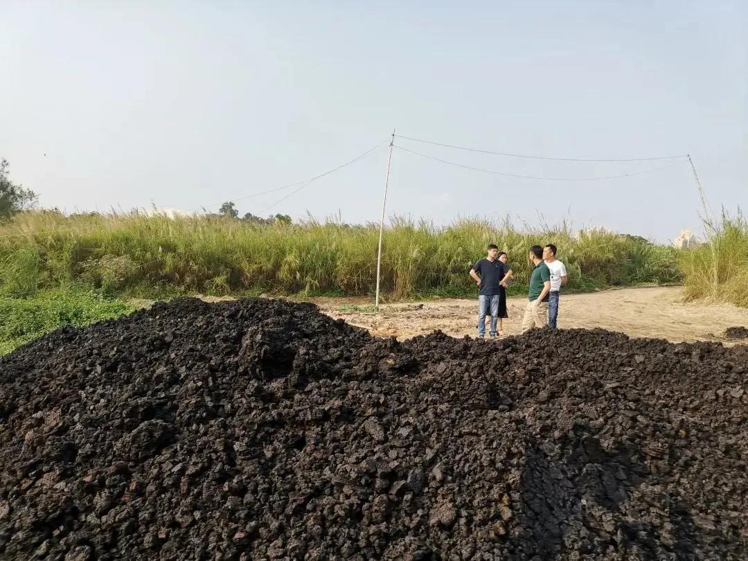 违法倾倒污泥被抓,违法倾倒污泥事件盘点