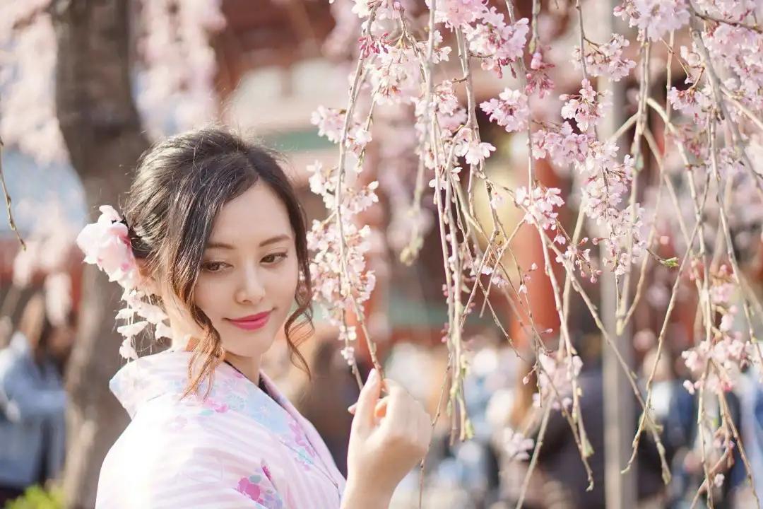 樱花前线2022年,2022第一场樱花