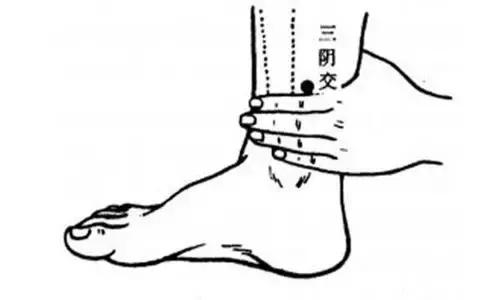 科普优质的卵子是这样养出来的,如何养出最佳的卵子