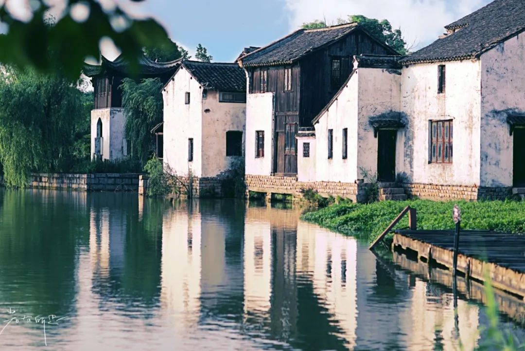 娌欏娴滅殑绱壊鑺辨捣,娌欏娴滈鏅尯鑺辨捣