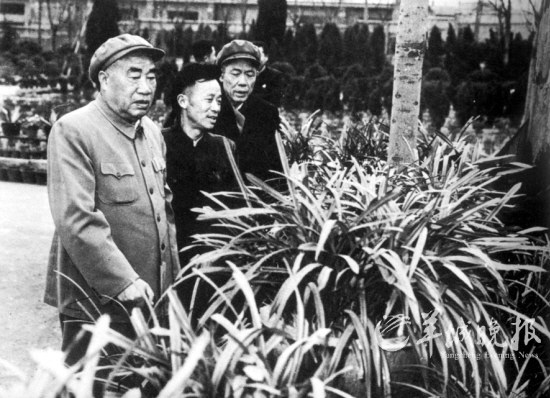 *德朱**的苏州缘