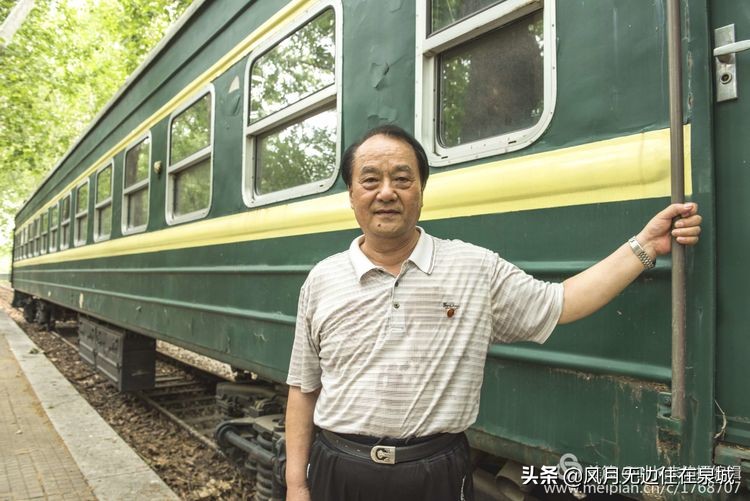 济南秋天的法国梧桐,济南一颗梧桐树