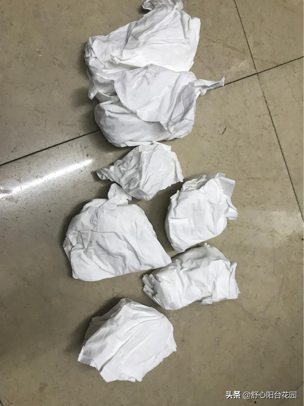 39.9入手7棵小老桩，夏季照样可以养好多肉。