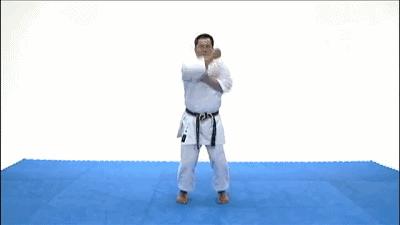 空手道基本功gif,空手道gif