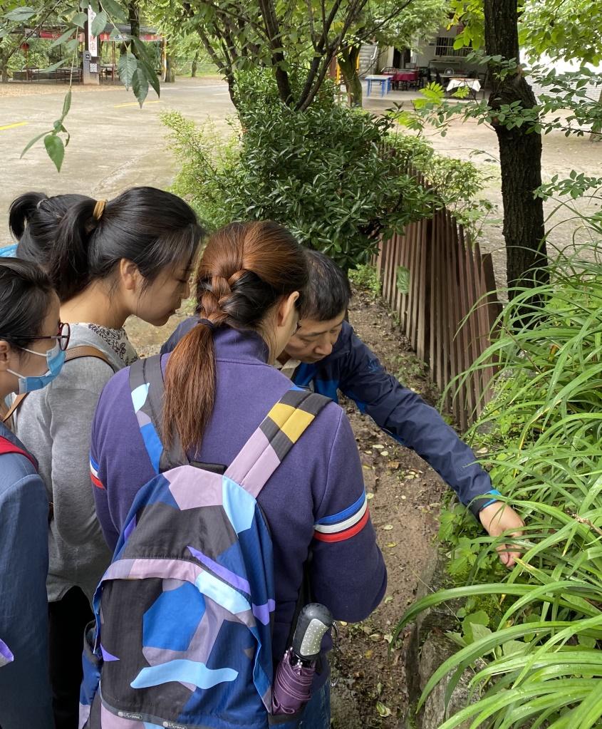 传承中医国粹精华,传承中药国粹弘扬中药文化