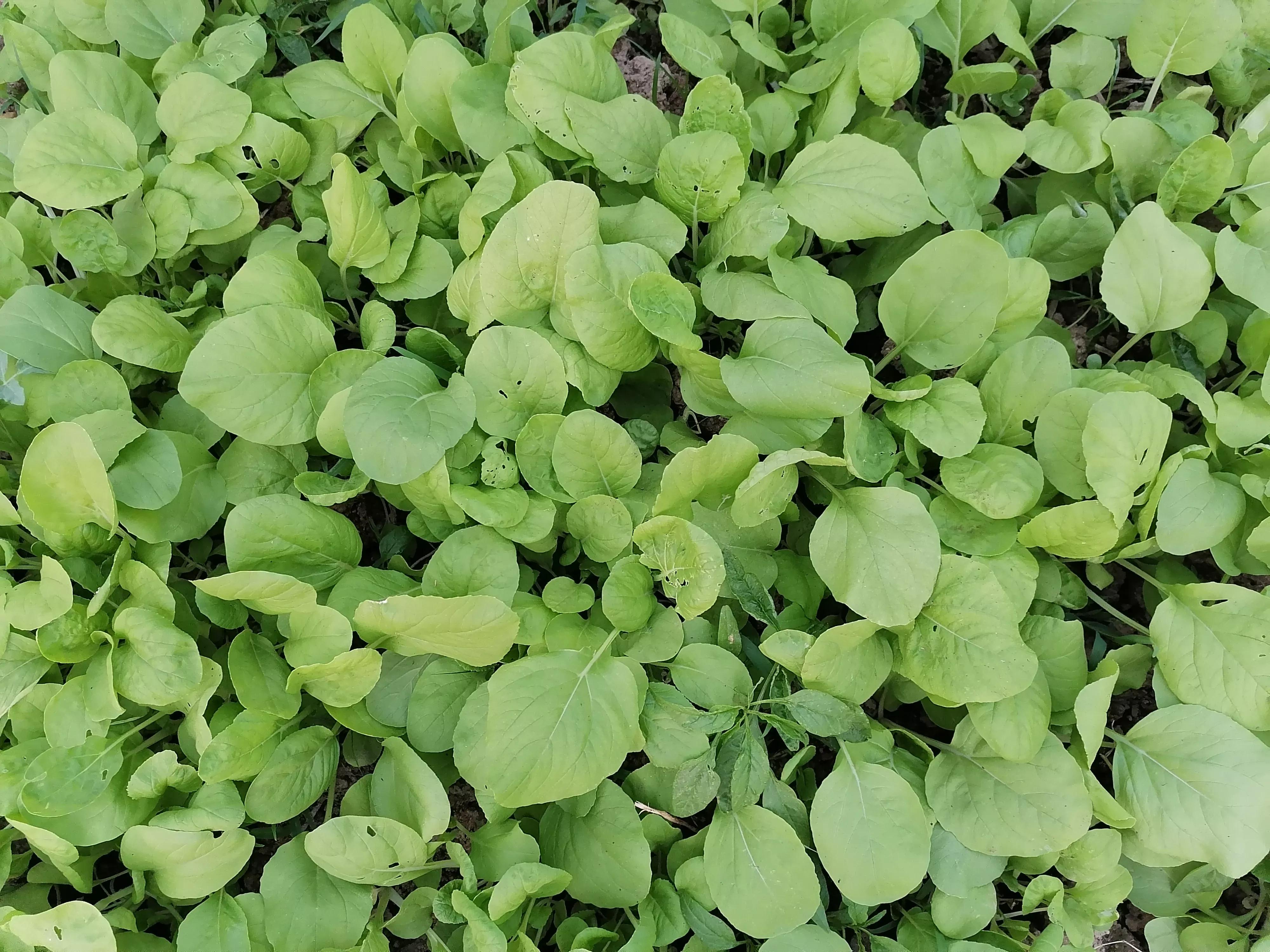 钥匙丢了怎么样开锁,钥匙丢了怎么配钥匙