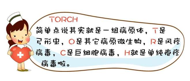 备孕期间养猫的危害,备孕期间养猫对胎儿有影响吗