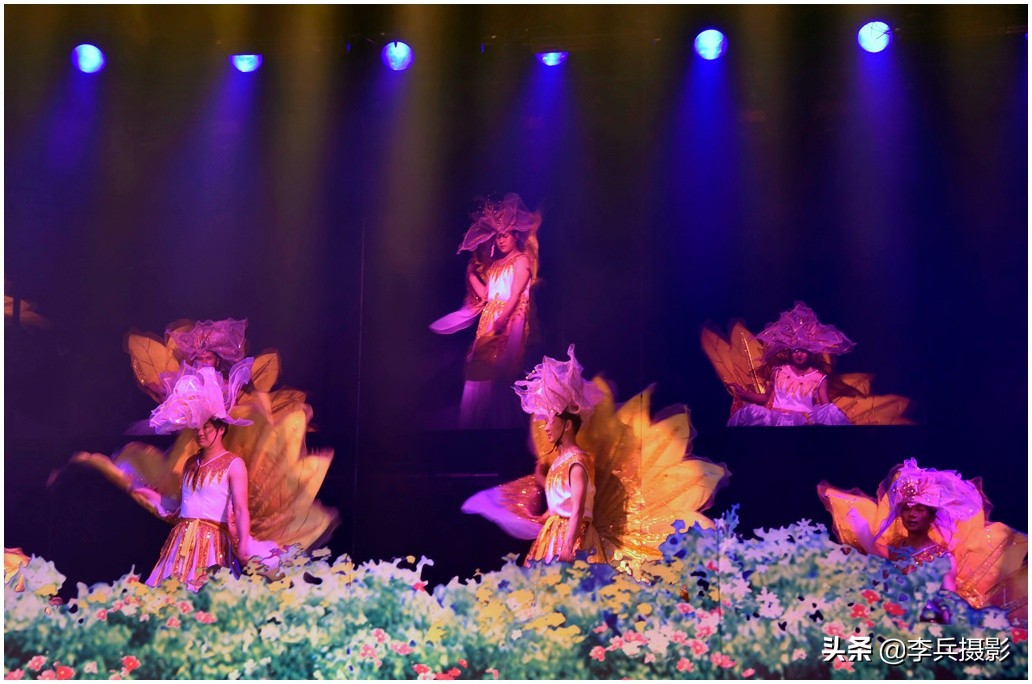 丽水金沙完整版,丽水金沙表演