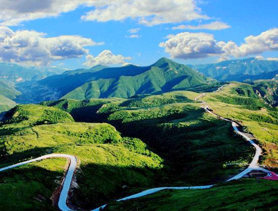 蔚县十大新型创业项目加盟,蔚县投资