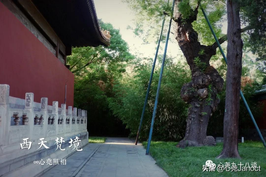 北海公园金丝楠木殿,北海公园西天梵境