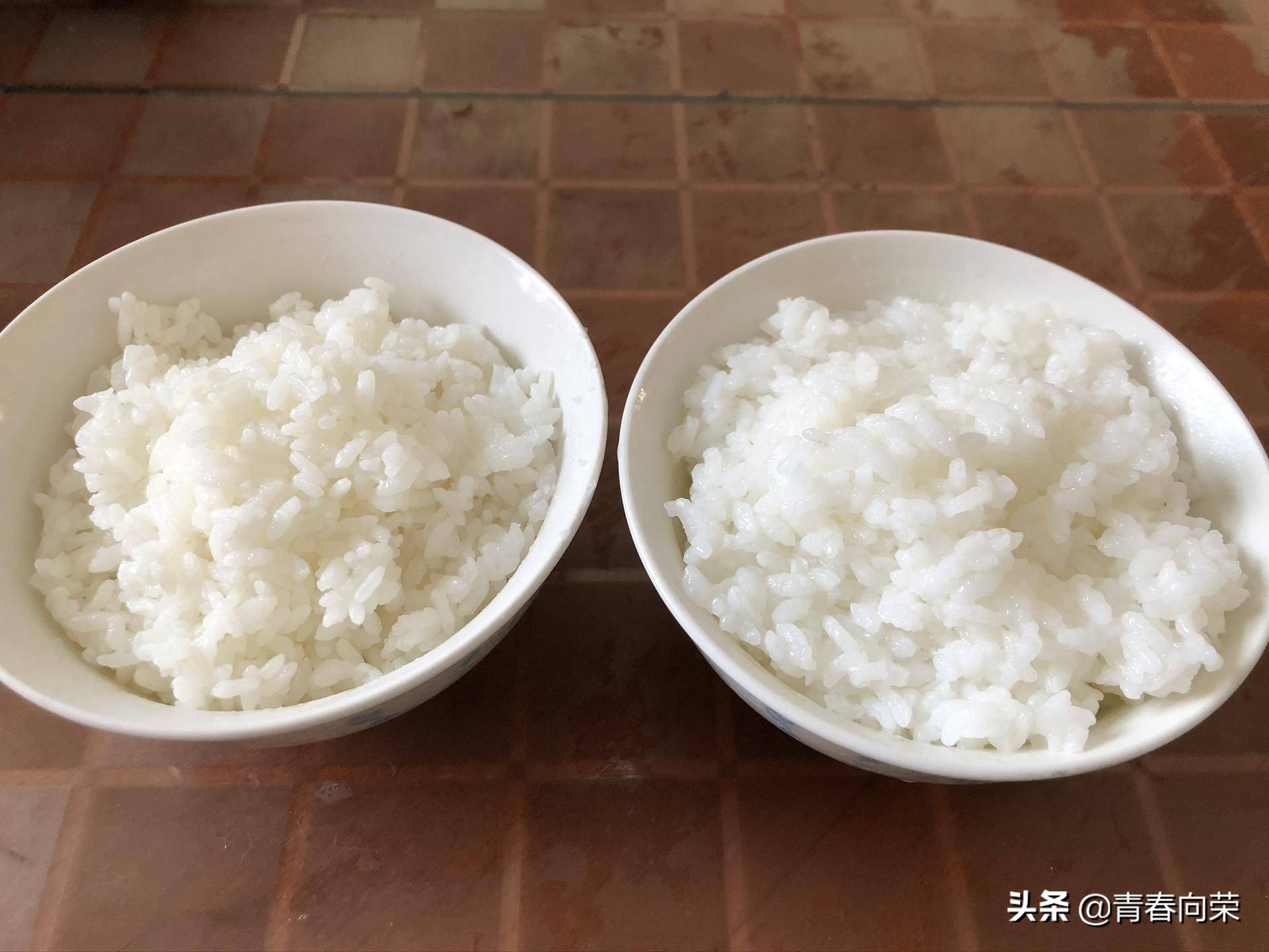 气釜降糖电饭煲使用方法,鼎釜电饭煲的优缺点