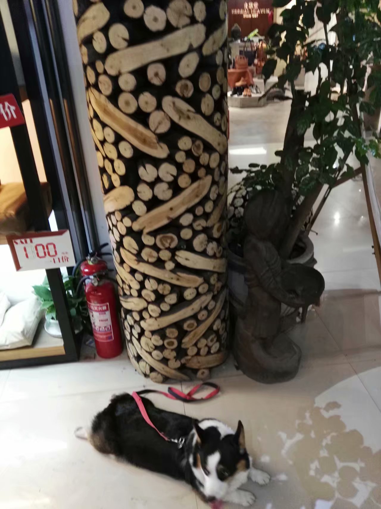 打卡食草堂,打卡素食茶馆餐厅