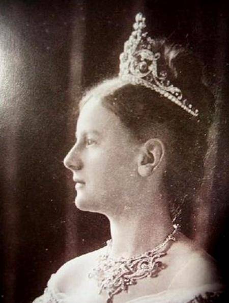 速生鸡与白羽鸡是什么,白羽鸡养殖技术和方法图解