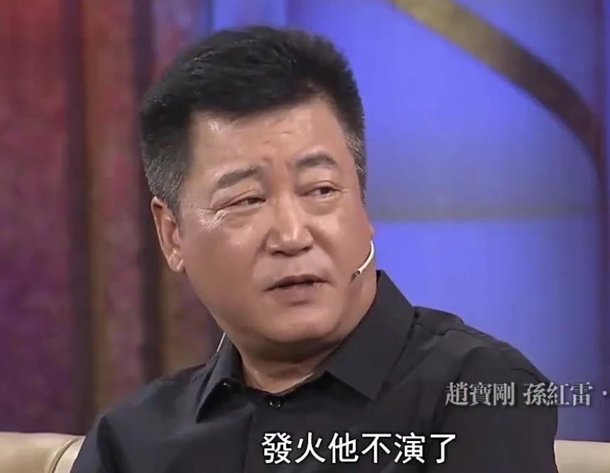 丁嘉丽和赵宝刚有合作吗,孙红雷赵宝刚出名