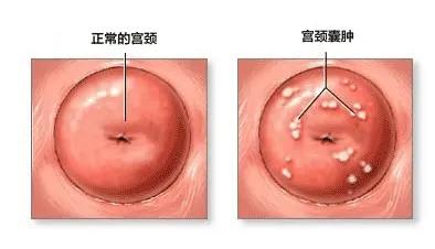 为了骗你钱，*子骗**们捏造了这些病