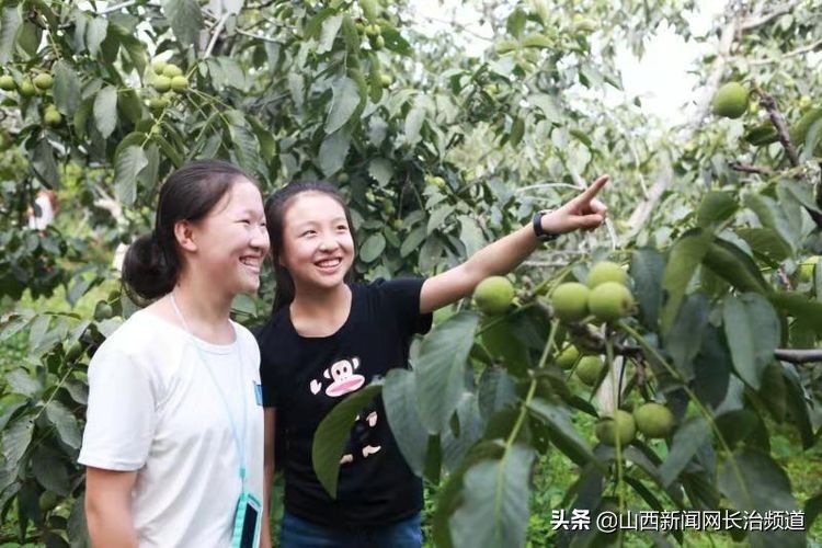 鎴戜滑韬竟鐨勬柊闂绘湁鍝簺,鎴戜滑韬竟鐨勪簩闈掍細灞辫タ