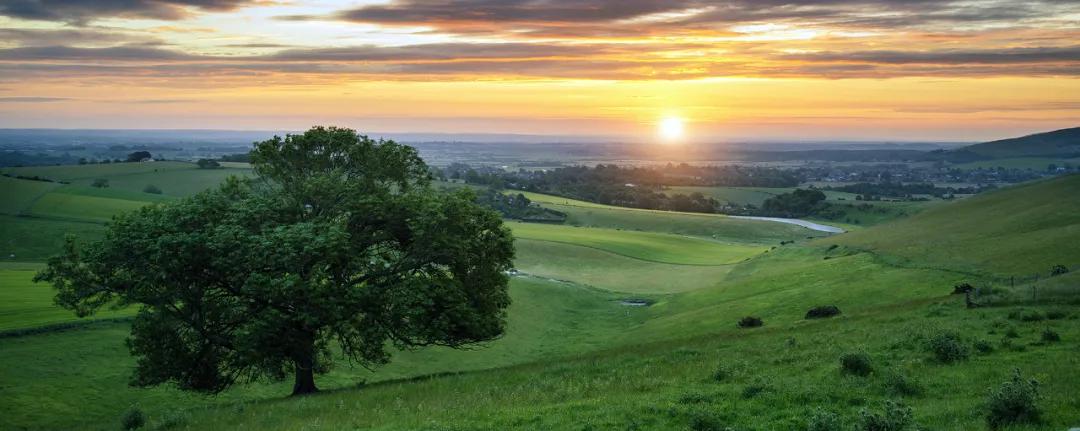 英国audionotecobra,英国audionotecd机