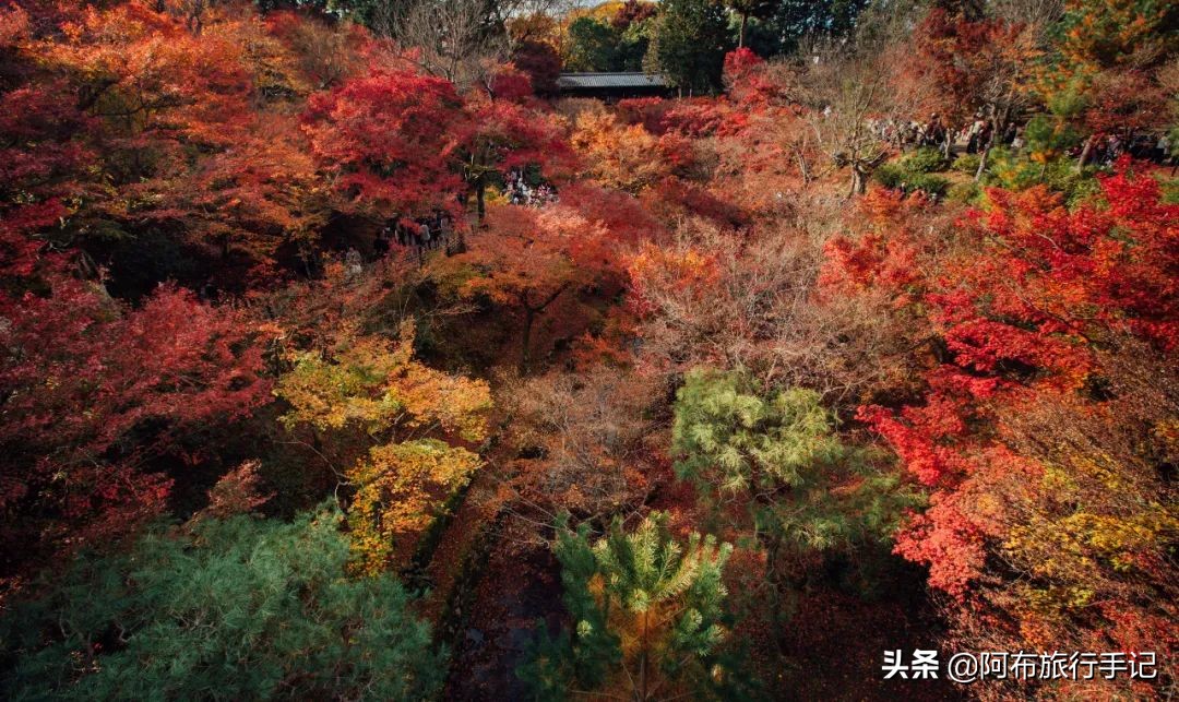 日本熊野古道拍摄,摄影师镜头下的景区