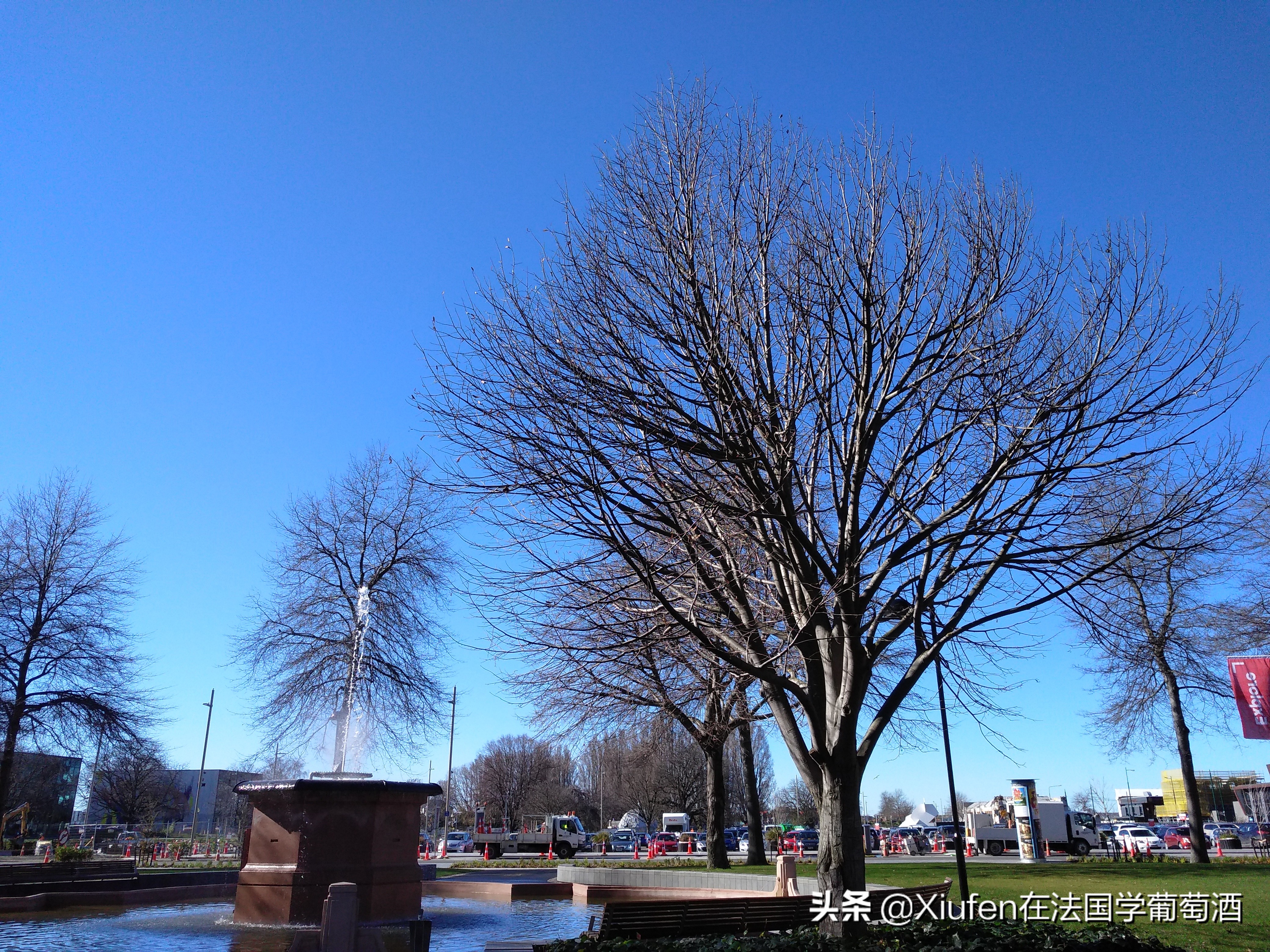 新西兰基督城城市风景,新西兰基督城风景漫步