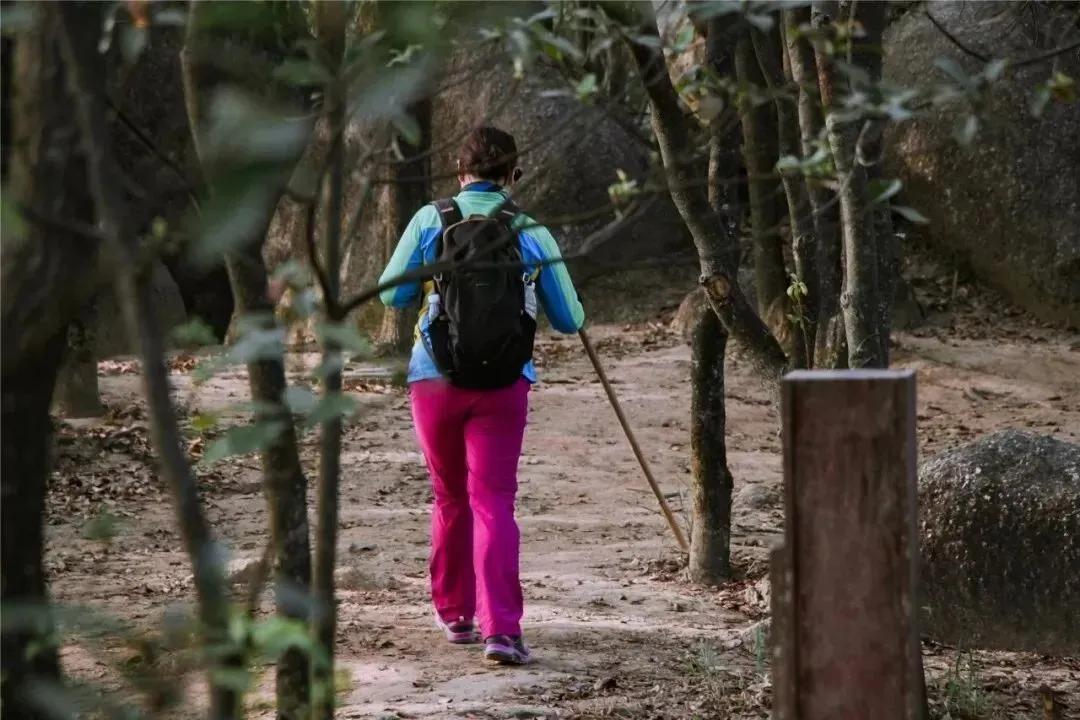 深圳首条手作“原始登山道”，人少好爬景色超美…过年去哪不用愁
